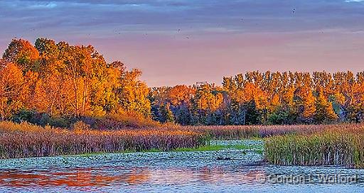 Otter Creek At Sunrise_P1190722.jpg - Photographed near Smiths Falls, Ontario, Canada.